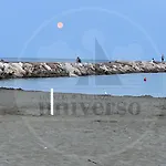 Marco Polo *