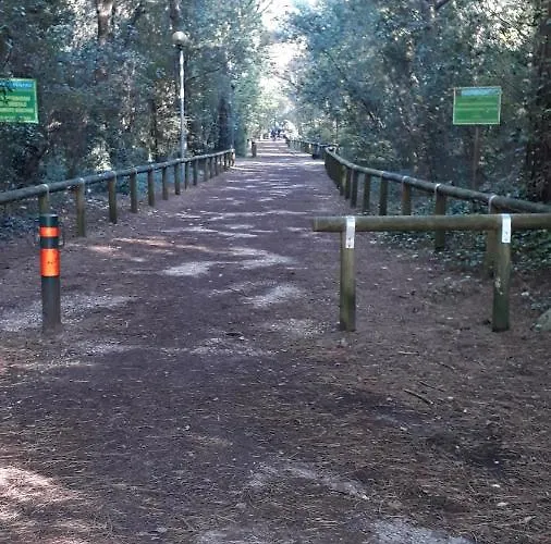 Marco Polo * Eraclea Mare